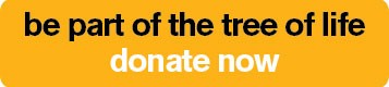 Donate now